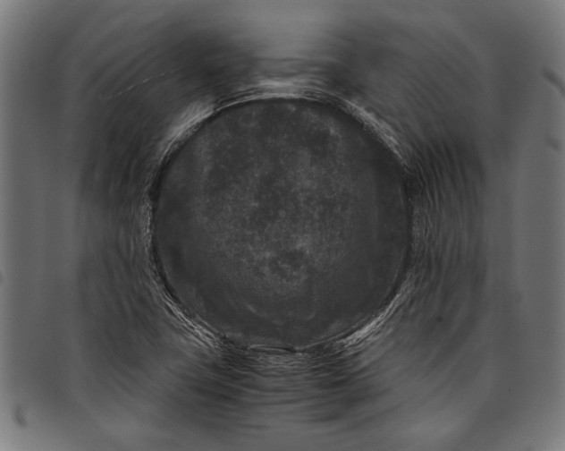 X0000097821411200803281111