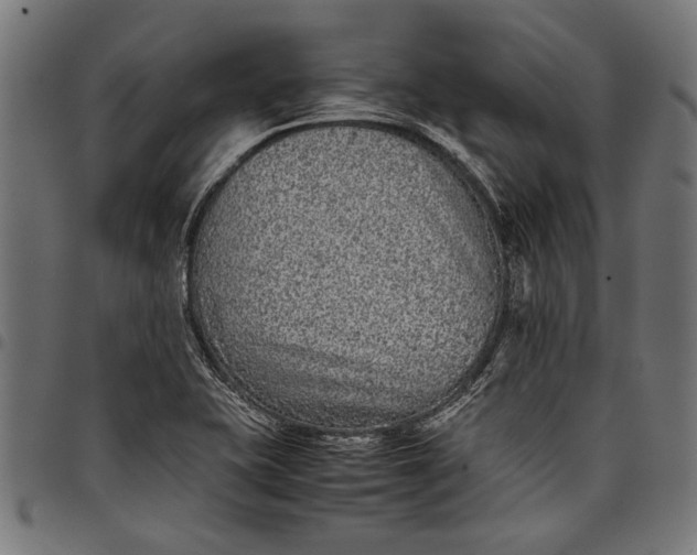 X0000097821415200803281111