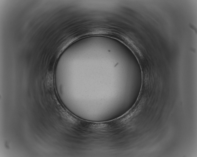 X0000097821417200803281111