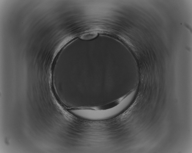 X0000097821418200803281111