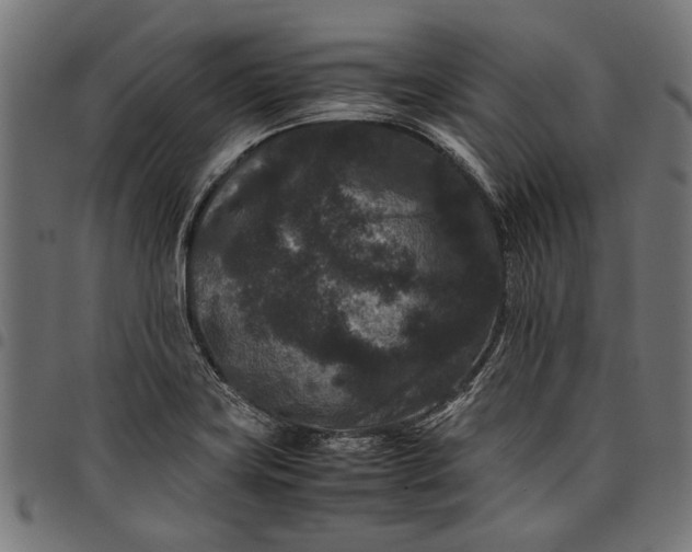 X0000097821419200803281111