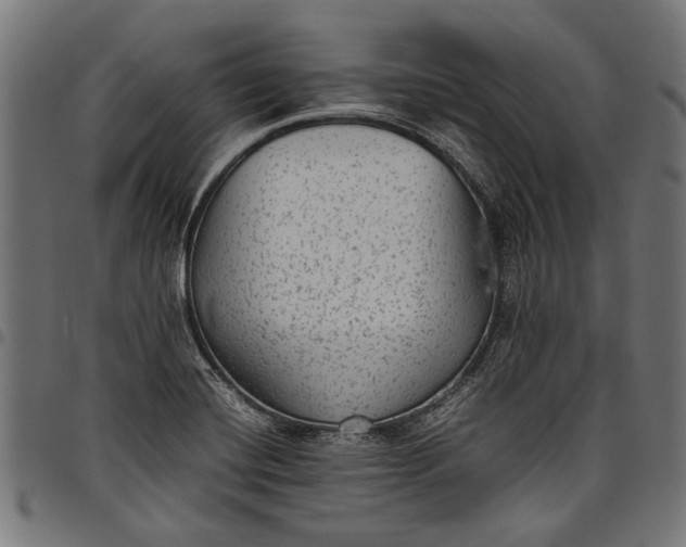 X0000097821420200803281111