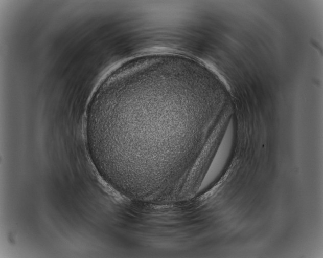 X0000097821421200803281111