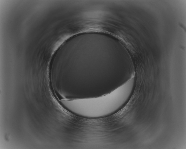 X0000097821422200803281111