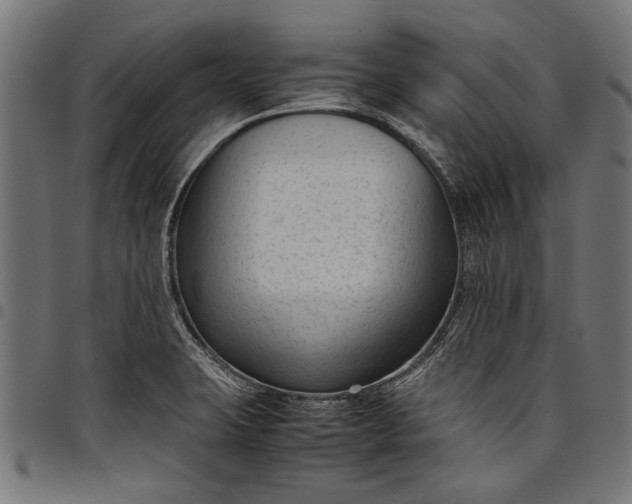 X0000097821423200803281111