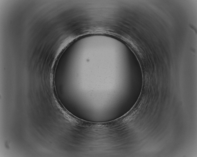 X0000097821424200803281111