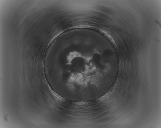 X0000097821425200803281111