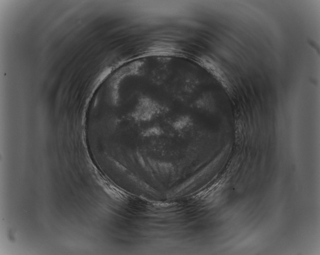 X0000097821427200803281111