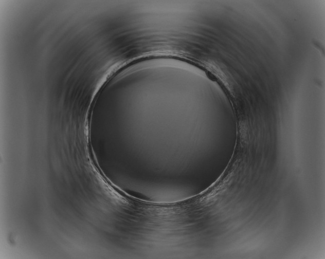 X0000097821428200803281111