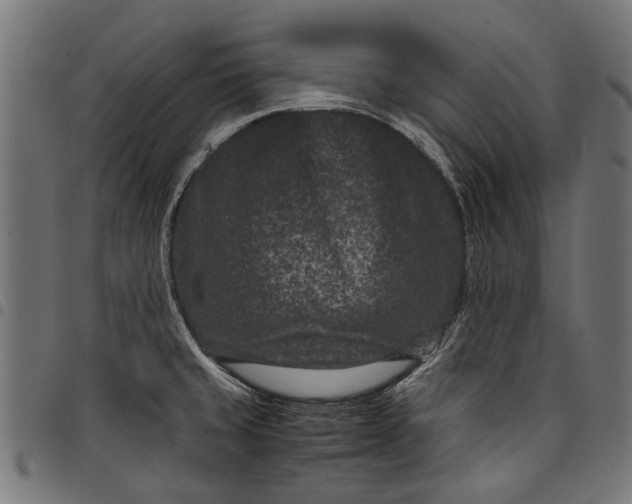 X0000097821429200803281111