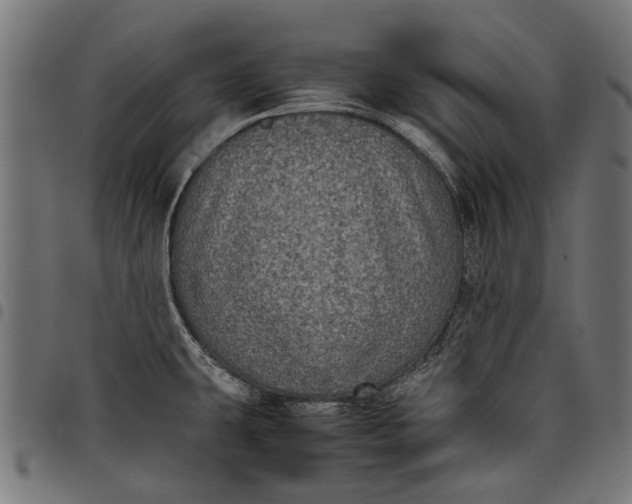 X0000097821431200803281111