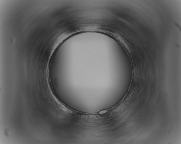 X0000097821432200803281111