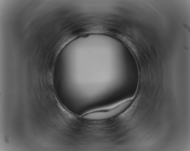 X0000097821433200803281111