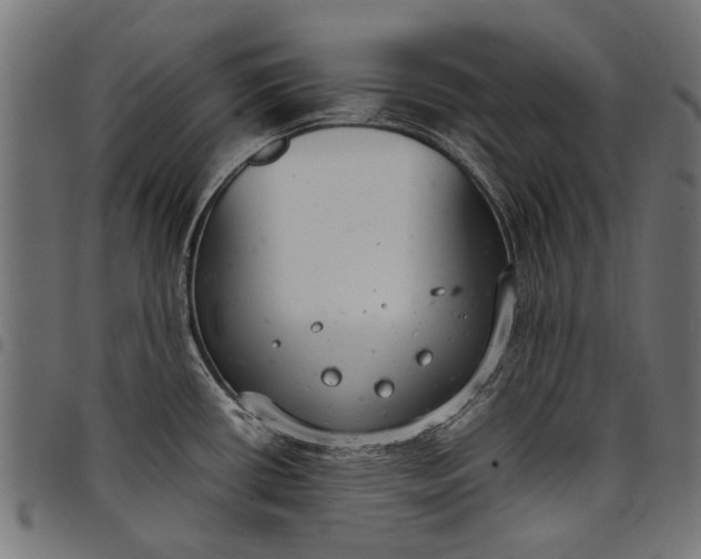 X0000097821434200803281111