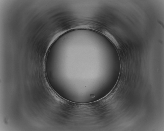 X0000097821436200803281111