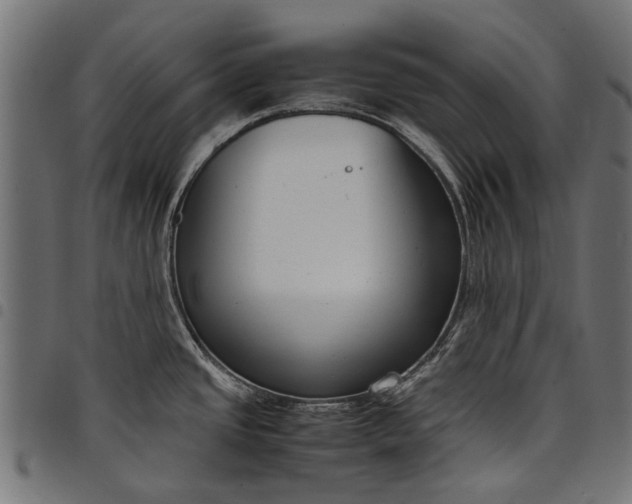 X0000097821437200803281111