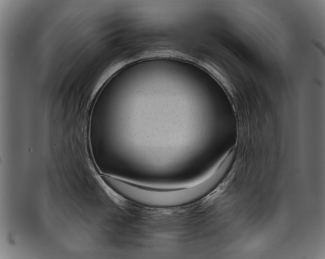 X0000097821438200803281111