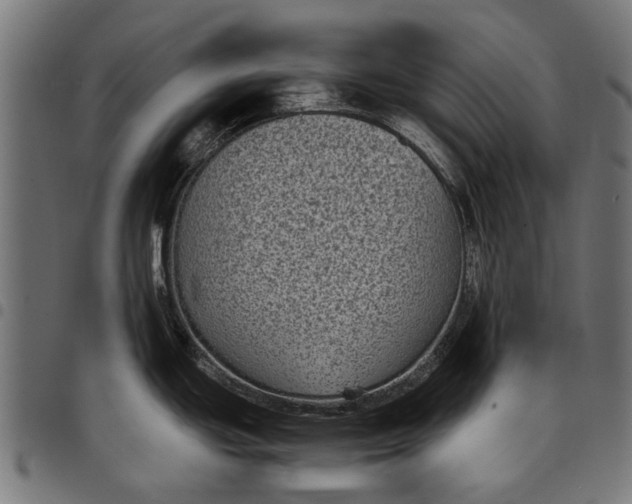 X0000097821439200803281111