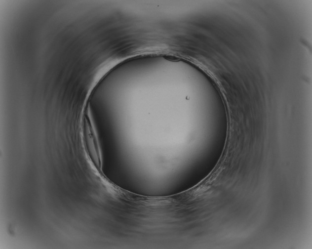 X0000097821440200803281111