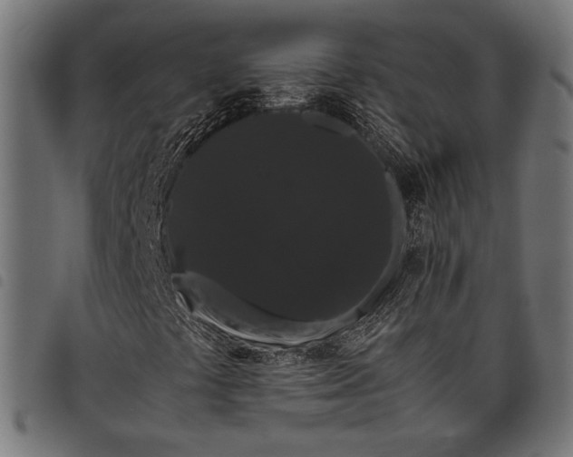 X0000097821441200803281111