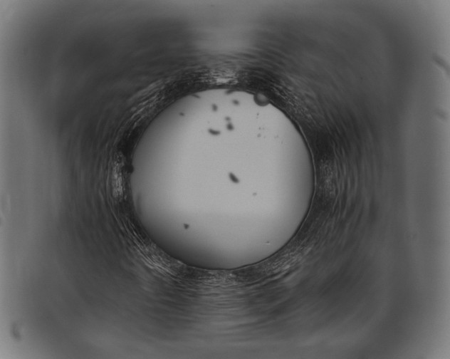 X0000097821442200803281111