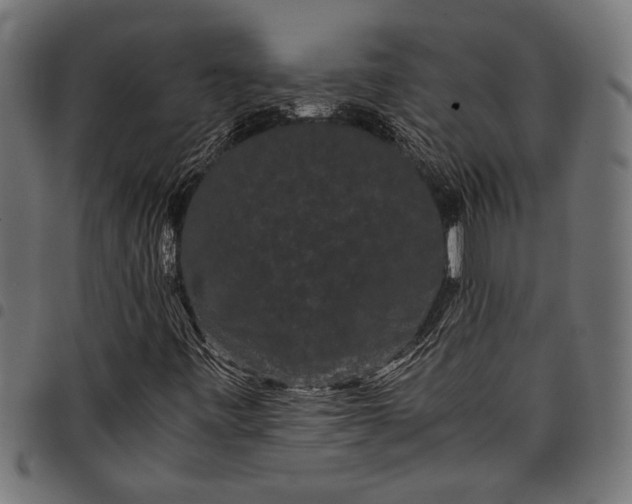 X0000097821443200803281111