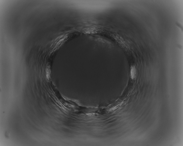 X0000097821444200803281111