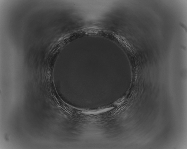 X0000097821445200803281111