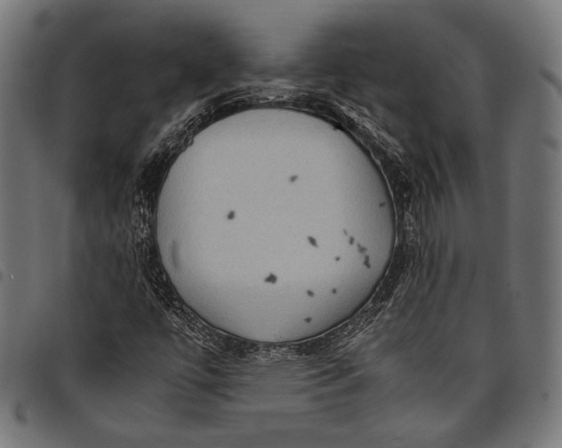 X0000097821447200803281110