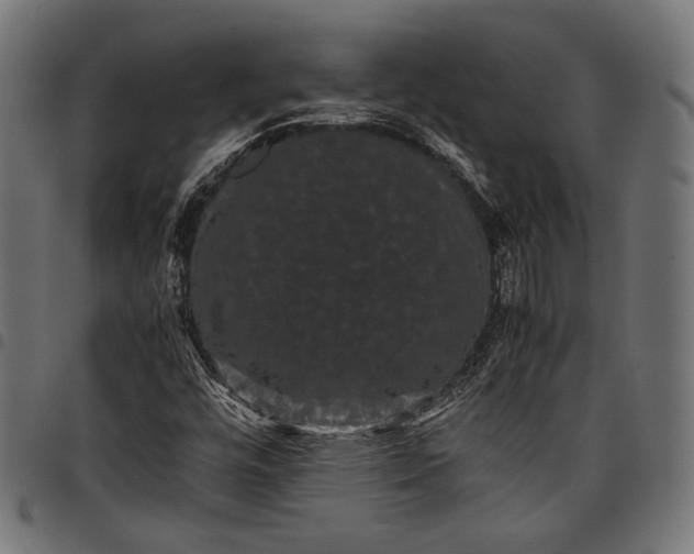 X0000097821448200803281110