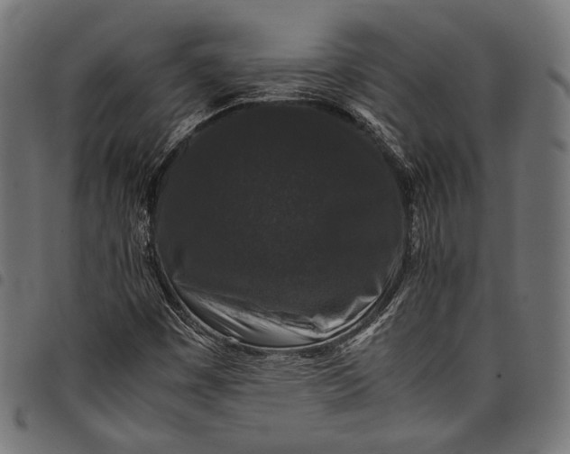 X0000097821449200803281110