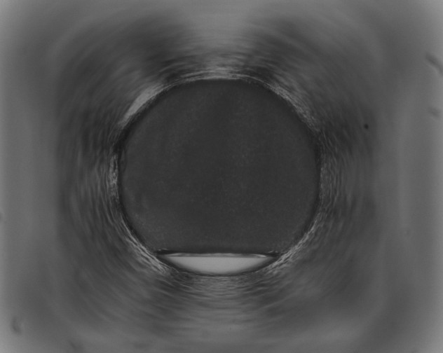 X0000097821450200803281110