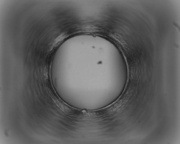 X0000097821451200803281110