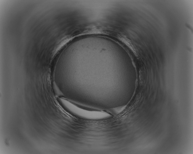 X0000097821452200803281110