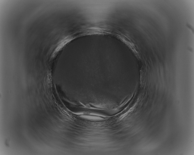 X0000097821453200803281110