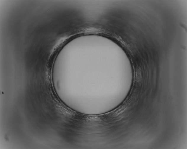 X0000097821454200803281110