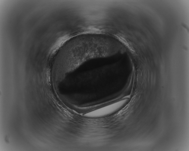 X0000097821455200803281110