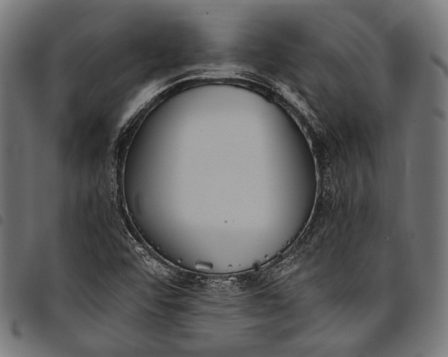 X0000097821456200803281110