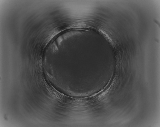 X0000097821457200803281110