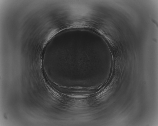 X0000097821459200803281110