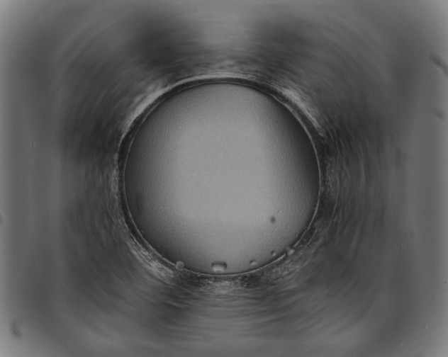 X0000097821460200803281110