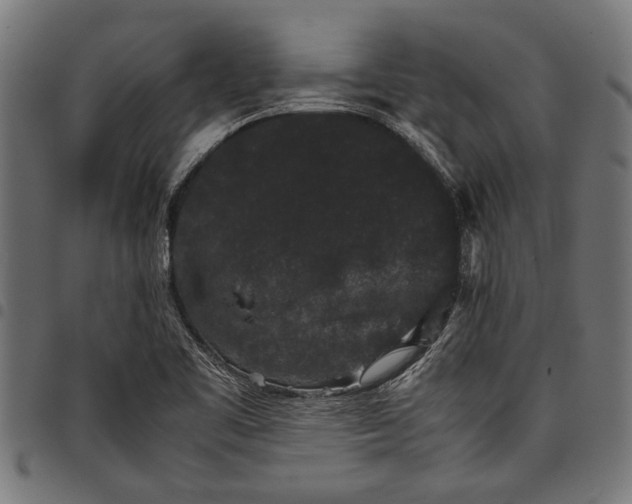 X0000097821461200803281110