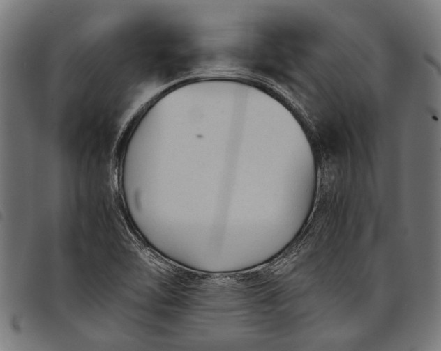 X0000097821462200803281110