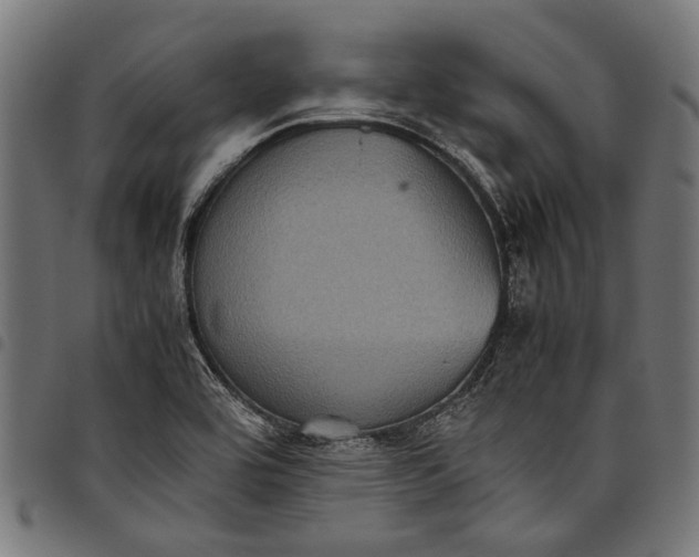 X0000097821464200803281110