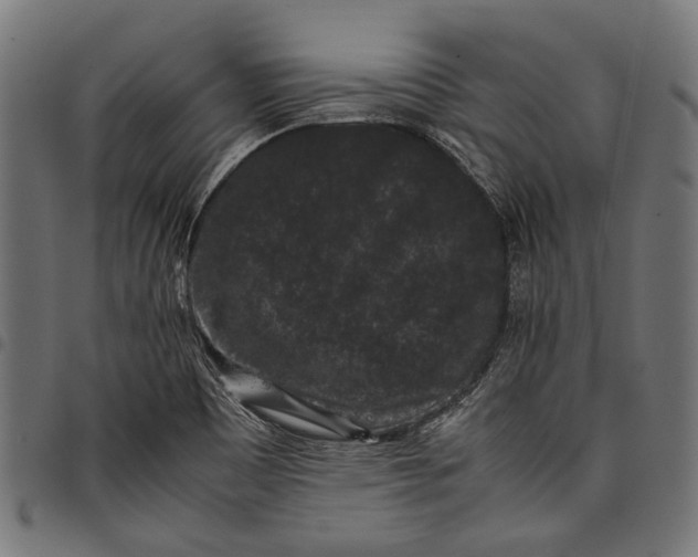 X0000097821465200803281110