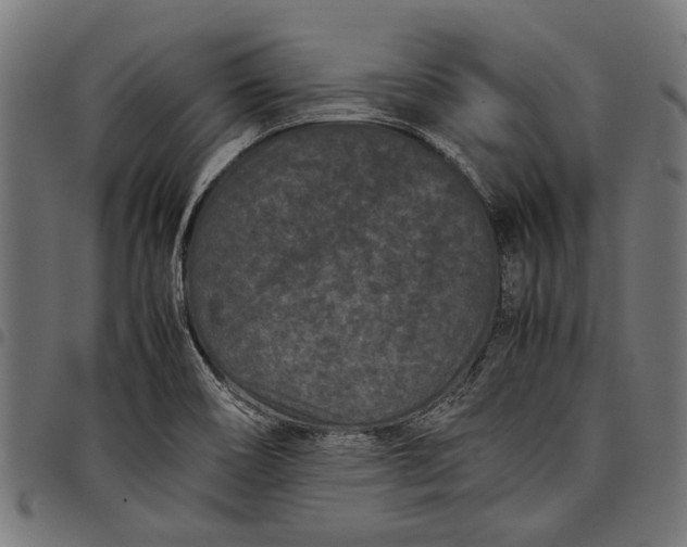 X0000097821466200803281110