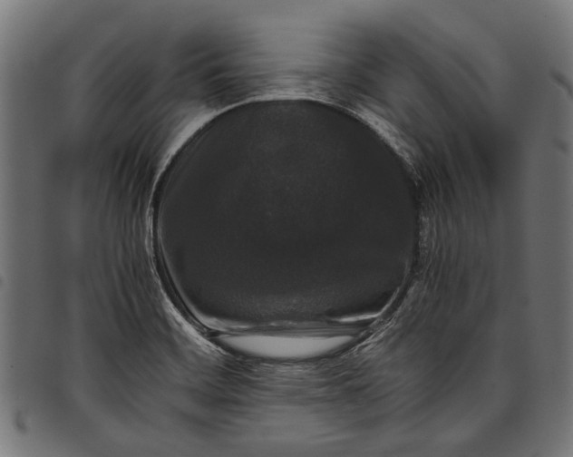 X0000097821468200803281110