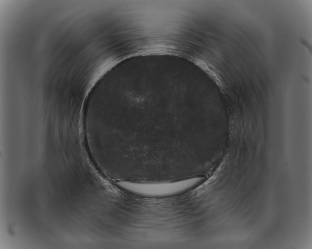 X0000097821469200803281110