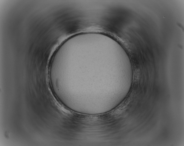 X0000097821470200803281110