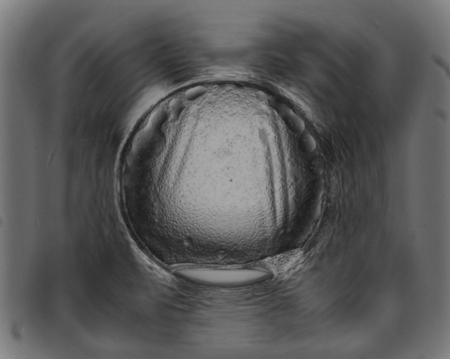 X0000097821471200803281110